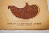 Yaggy's 1885 anatomical intestines chart showing copyright text and aged paper.