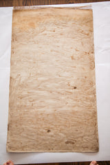 Reverse side of the 19th-century Yaggy's anatomical chart with discolored canvas backing.