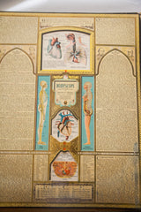 Vintage Bodyscope Book detail: female anatomy, heart, reproductive text, art deco style.