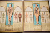 Vintage Bodyscope medical book, left spread showing male cutaway anatomy, skeleton, and art deco.