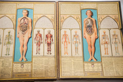 Rare Bodyscope Book Skeleton Moving Parts // ONH Item 1806 Image 1