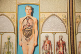 Bodyscope medical book: lower male torso with internal organs, skeleton, and muscle charts.