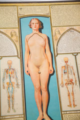 Vintage Bodyscope book detail: turning disc at female pubic area, adjacent male skeleton chart.
