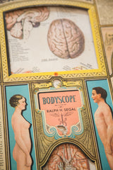 Detail of vintage Bodyscope book: art deco title, figures, internal anatomy, and damage.