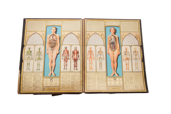 Rare Bodyscope Book Skeleton Moving Parts // ONH Item 1806