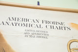 Title text and editor's credit on the vintage paper of a Frohse anatomical chart.