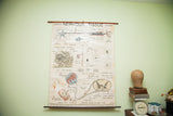 Mid Century Nervous Tissue vintage science pulldown chart, light anatomical diagrams on dowels.