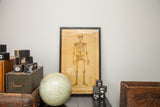 Framed antique 19th century Yaggy's anatomical skeleton chart on yellowed paper.