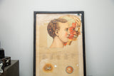 Angled view of framed 19th century Yaggy's anatomical head chart, showing aged paper.