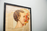 Close-up of Yaggy's 19th century anatomical chart, head revealing the brain, aged paper.