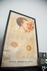 Vintage Yaggy's Anatomical Study chart with title, 1885 copyright, and 'THE EYE' diagram.