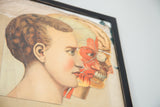 Late 19th century Yaggy's chart showing layers of brain and facial anatomy.