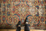Expressive red, blue, and peach serrated leaf pattern on an antique Sultanabad rug.