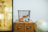 Vintage Fred Medart open wire basket, silvery metal, original number tag, 9x12.