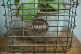 Close-up of vintage locker wire basket with circular numbered tag, blue paint, and patina.