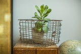 Mid Century industrial wire basket, showing aged galvanized finish and circular tag.