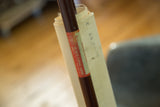 The Welch Scientific Company label on a rolled vintage science chart.