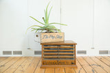 Victorian oak Eureka Silk Spool Cabinet, 5-drawer chest with glass fronts and patina.