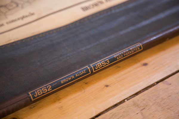 Gold stamped identification 