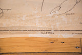 Lower section of the early 20th century crayfish chart, with aged paper, browning, and exposed canvas.