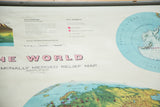 Vintage Rand McNally Merged Relief map detail, showing faded legend text and polar regions.