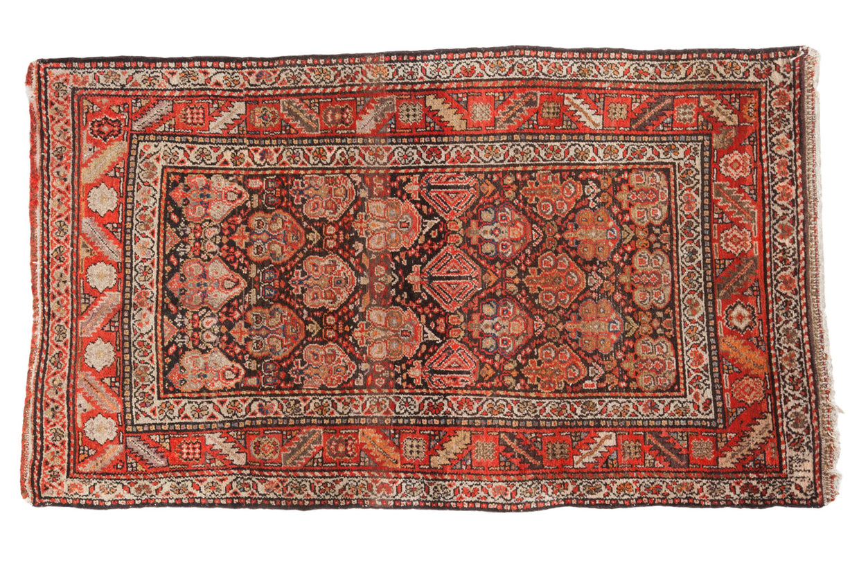 3.5x6 Vintage Persian Malayer Rug // ONH Item 2314