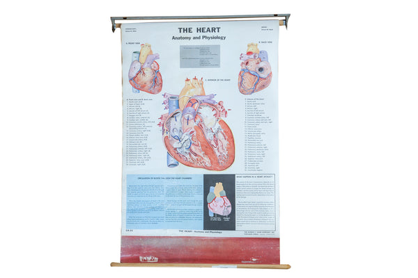 Mid Century Vintage Heart Cram's Science Chart // ONH Item 2319
