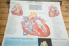 Mid Century Vintage Heart Cram's Science Chart // ONH Item 2319 Image 1