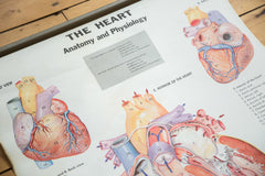 Mid Century Vintage Heart Cram's Science Chart // ONH Item 2319 Image 2