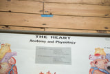 Top portion of the vintage Cram's Heart chart, showing its title, statistics, and diagram.