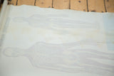 Faded human skeleton diagram on the reverse of the Mid Century science chart.