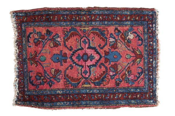 2x3 Vintage Distressed Lilihan Rug Mat // ONH Item 2322