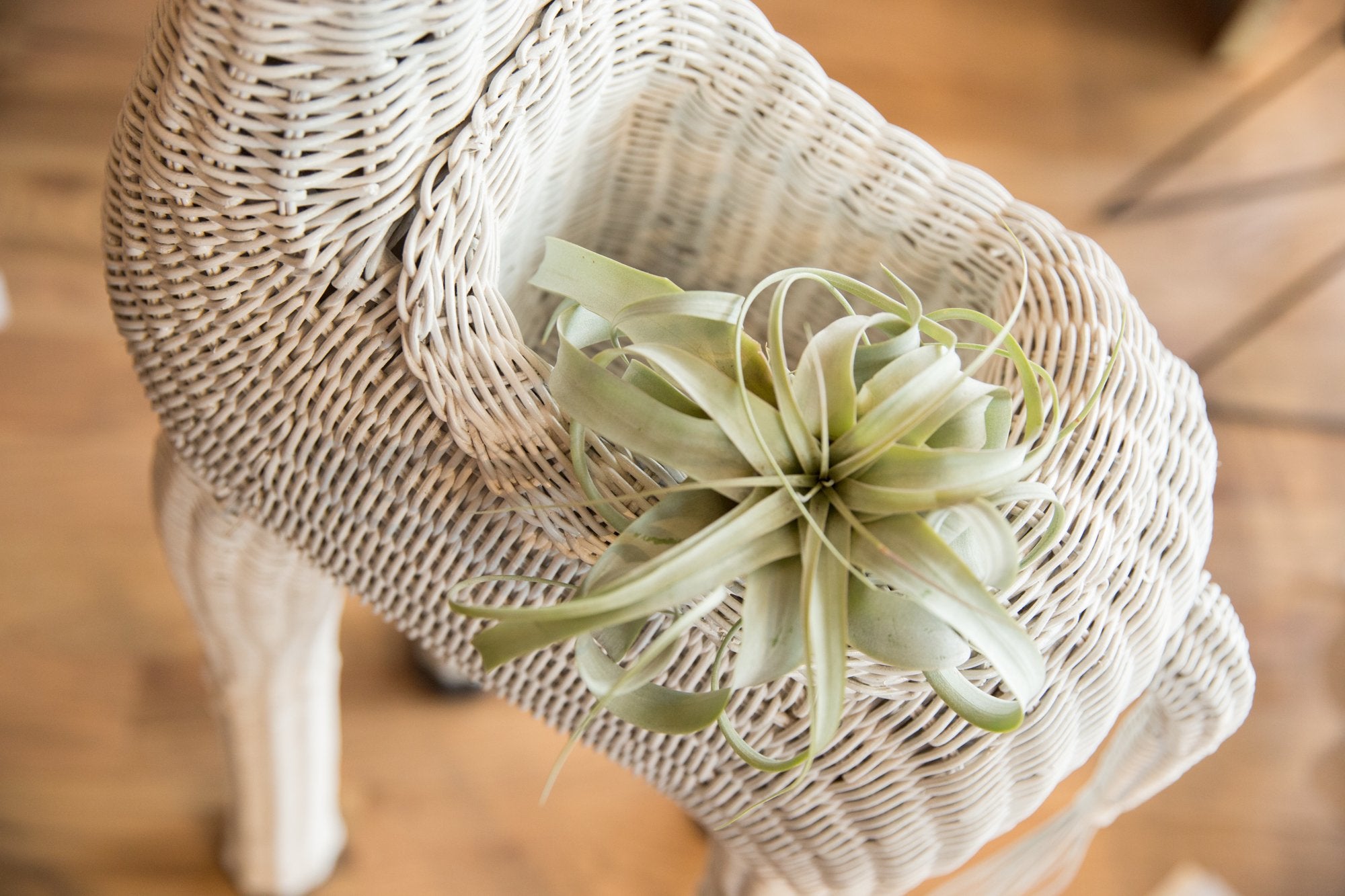 Large Vintage Wicker Giraffe Planter / Item 2494 image 1