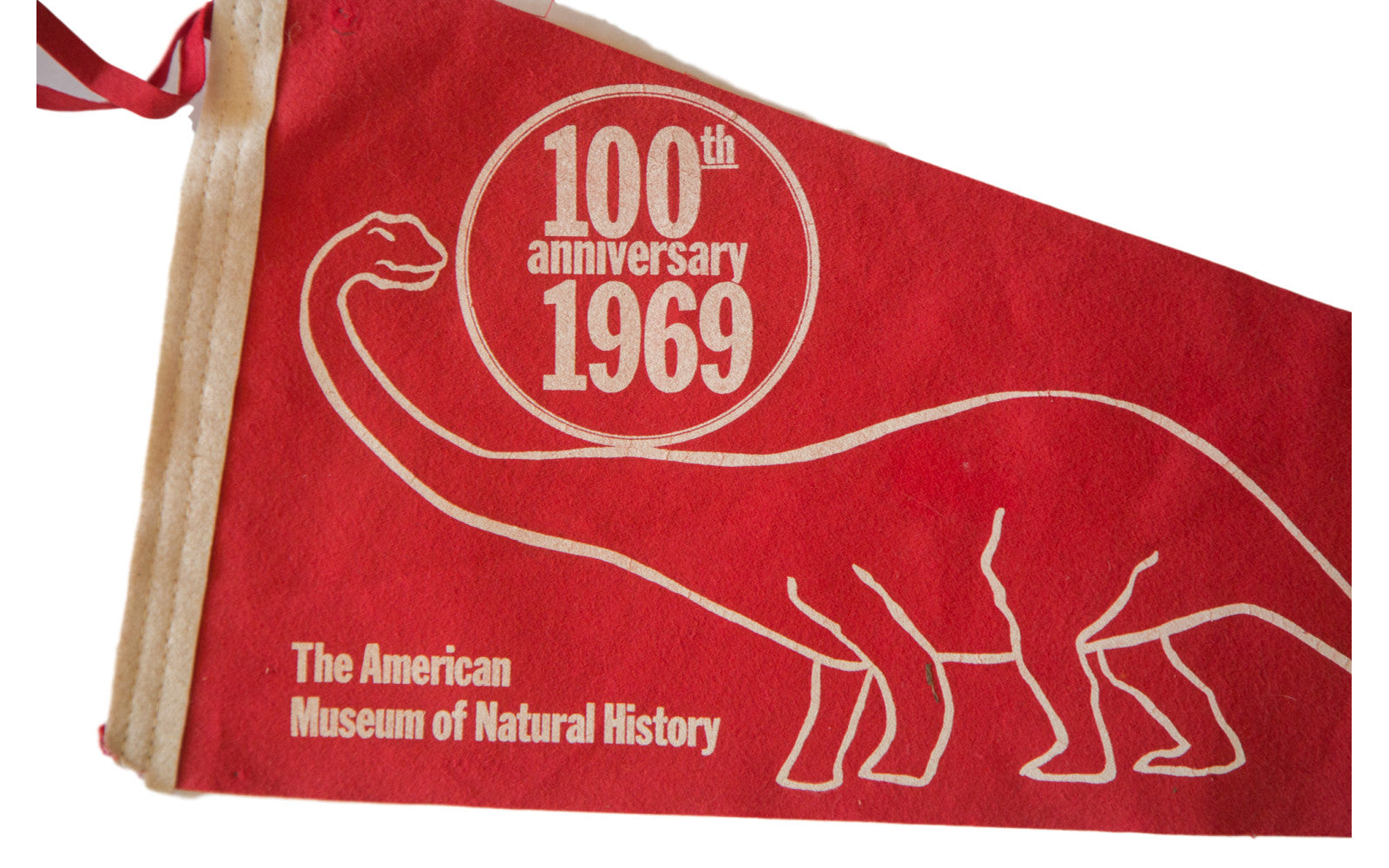 1969 Dinosaur New York, NY Vintage Felt Flag // ONH Item 2503 Image 1