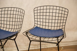 Black wire grid pattern and bright blue seat pad of one vintage Bertoia chair.