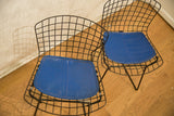 Vibrant blue seat pad on black wire mesh of a Bertoia chair.