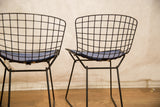 Black wire grid backs and blue pads on vintage Bertoia child chairs.