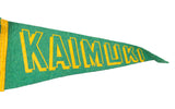 Vintage Kaimuki Hawaii felt flag banner, green with yellow 'KAI' text and stitched binding.