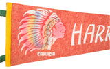 Close-up of vintage felt Harrison BC banner, featuring colorful Indian headdress graphic.