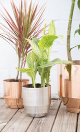 Brushed silver aluminum planter base with stepped design on light wood planks.