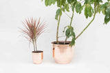Sleek 16 inch copper planter displayed with a smaller copper planter and plants.