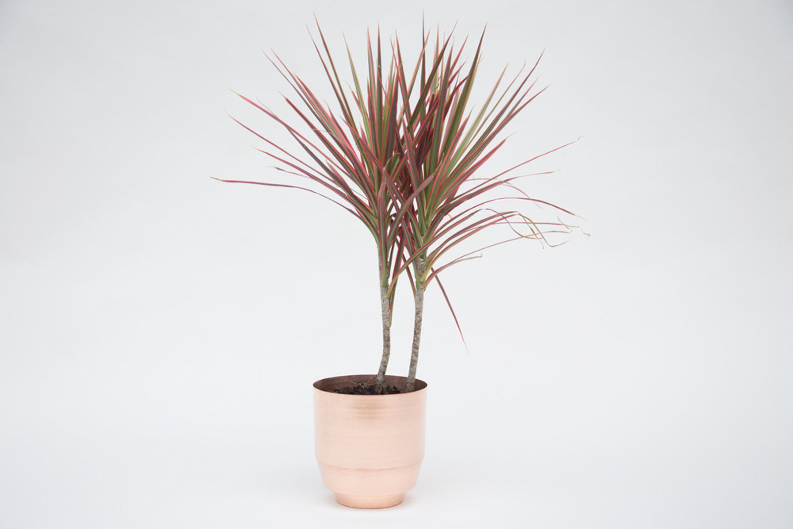 Modern Copper Planter 8" // ONH Item 2865 Image 1
