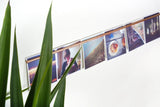 Modern Copper Art Hanger displaying various photos, partially seen behind green plant leaves.