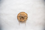Natural Wooden Coaster Pair, live edge, with smooth finish, tied with rustic twine.