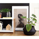 Large charcoal Olli Ella belly basket with handwoven seagrass texture, 18 inches diameter.