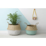White dipped belly basket with plant, natural seagrass top, beside teal dipped basket.