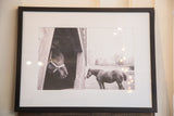 Black framed black and white photograph: horse in barn doorway, another in field.