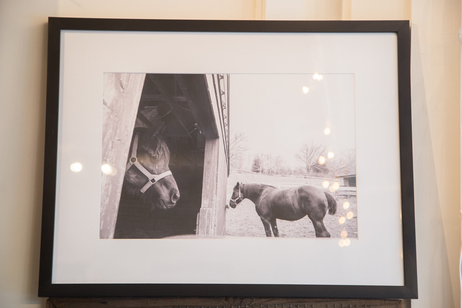 Muscoot Farm Horse Photograph // ONH Item 2915 Image 1
