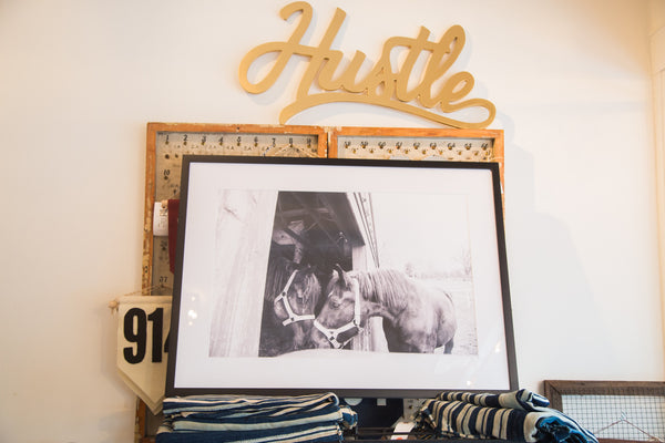 Farm Nuzzling Horse Photograph // ONH Item 2916 Image 1