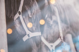 Farm Nuzzling Horse Photograph showing muzzle, white halter, and bright light reflections.